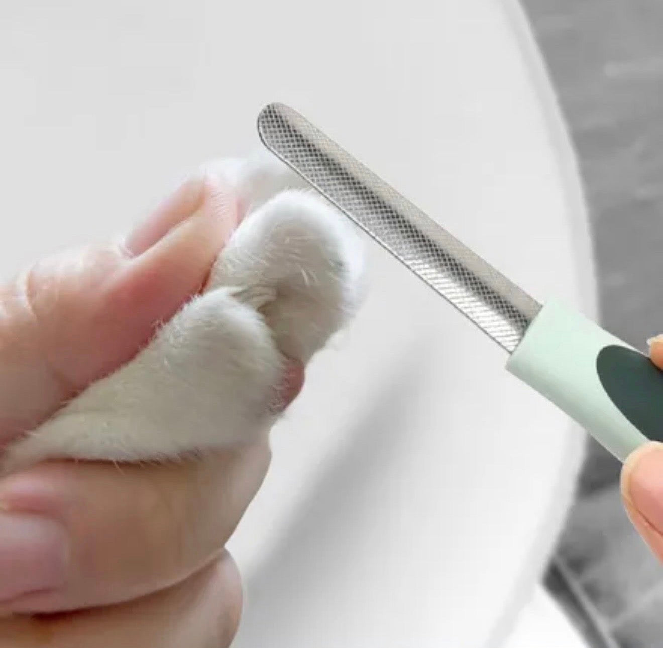 FluffySpa™ Grooming Kit